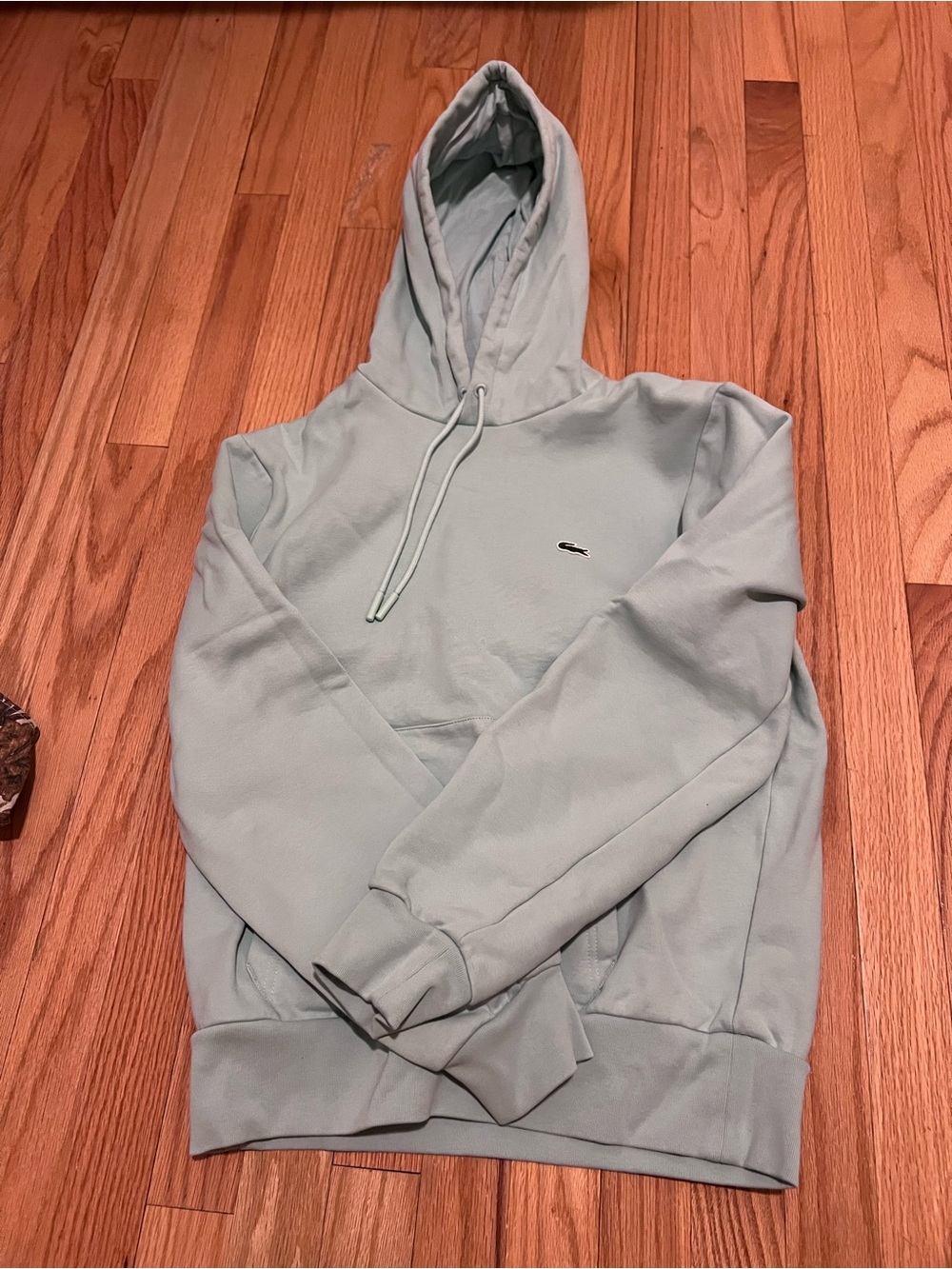 Lacoste Men's Mint Green Hooded Pullover Sweatshirt